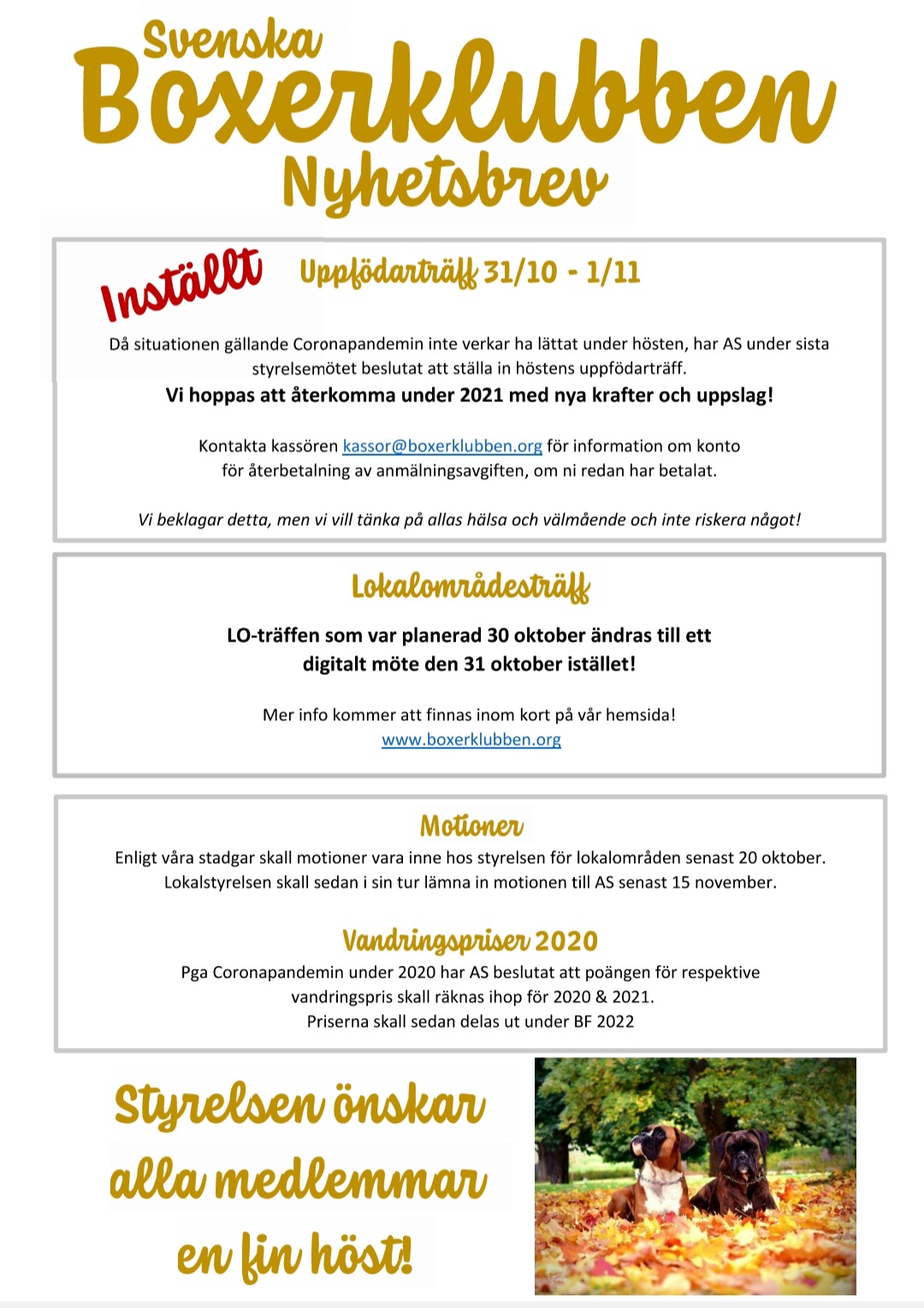 bloggNyhetsbrevAsSept2020