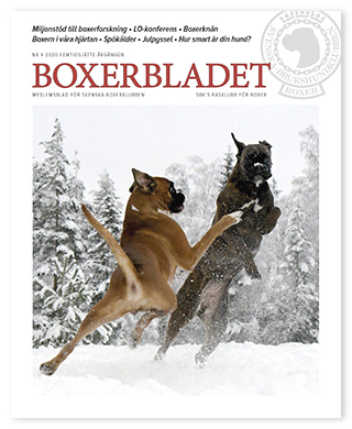 Boxerbladet