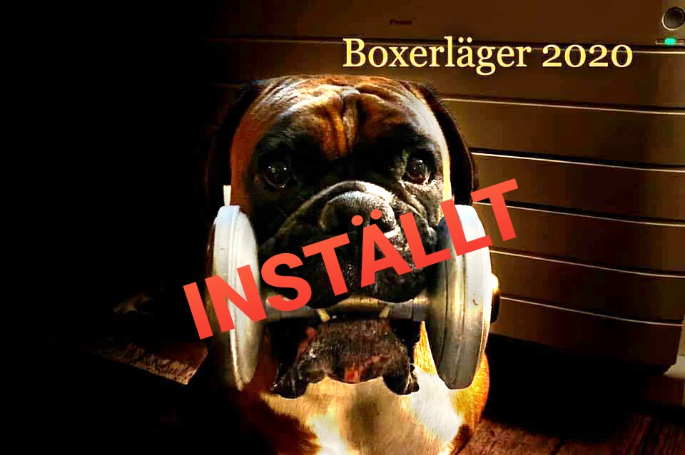 installtBoxerlager2020