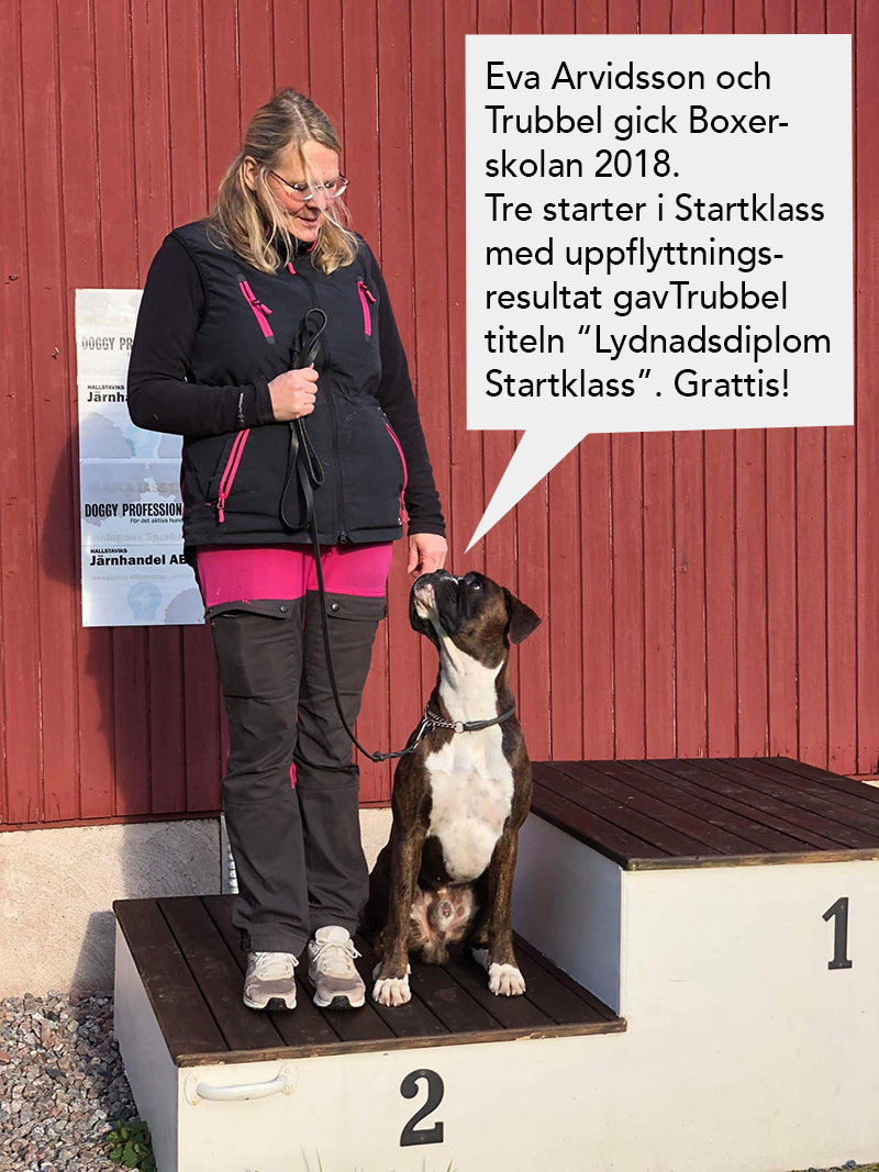 boxerskolanGrundEva