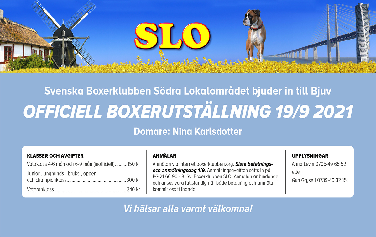 sloSpecial2021