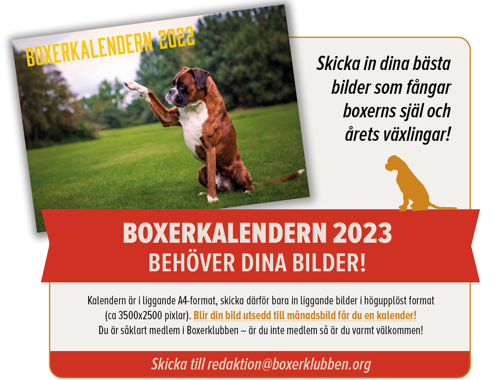 boxerkalenderPuff2023