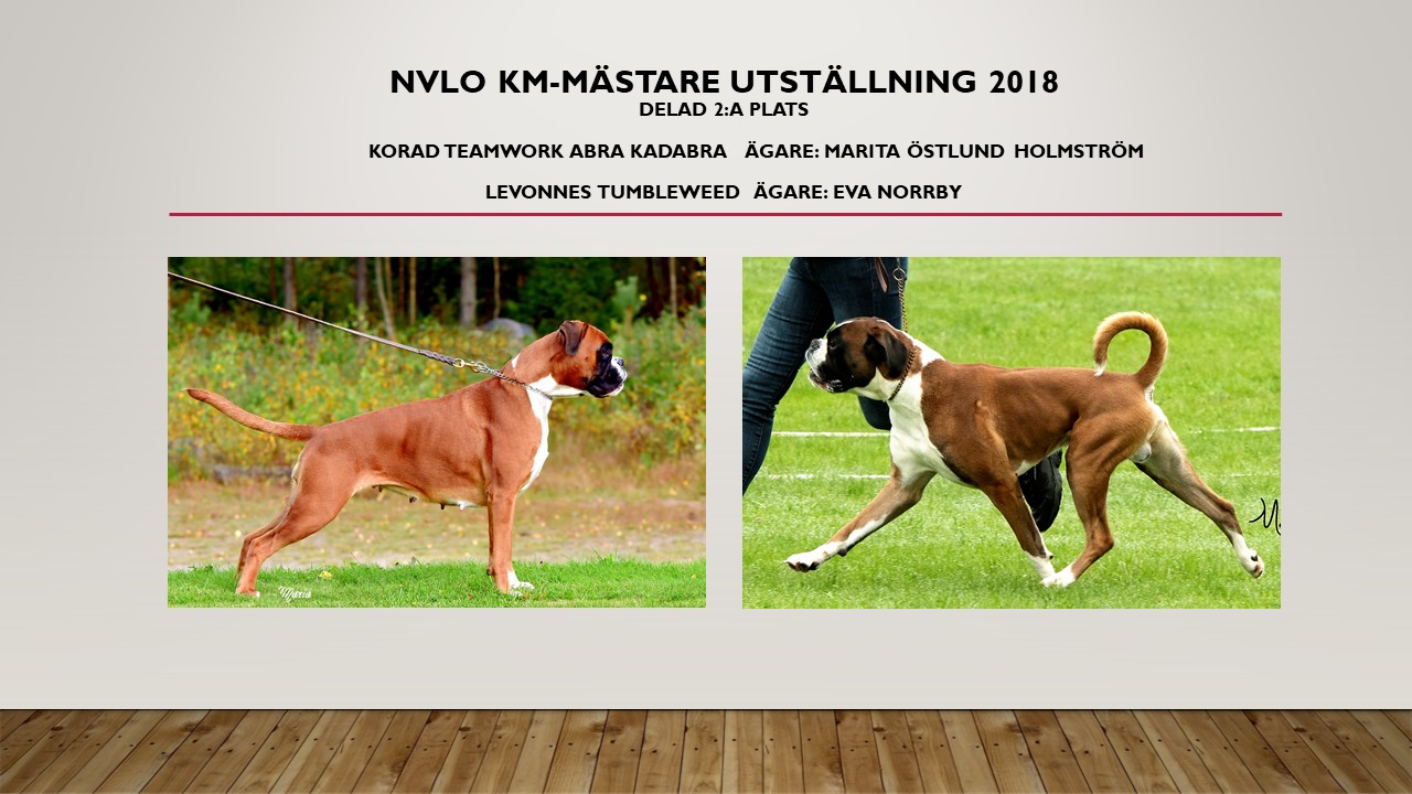 nvloKmMastare2Utstallning2018