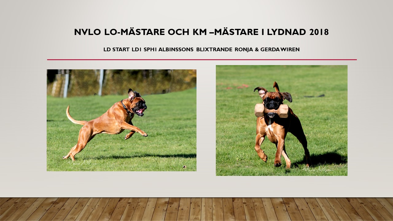 nvloKmMastareLydnad2018