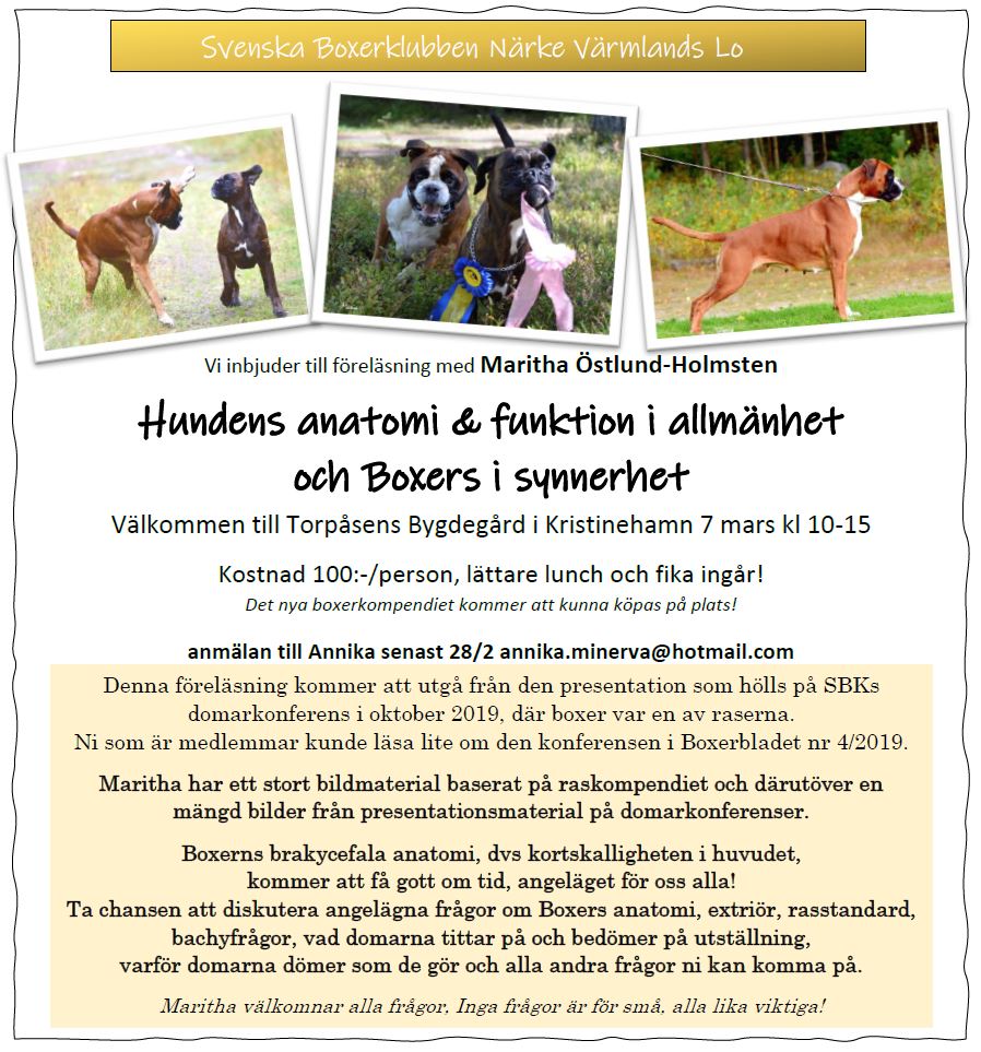 nvlo7Mars2020