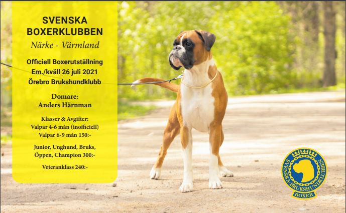presentationNvloBoxerspecial2021Annons