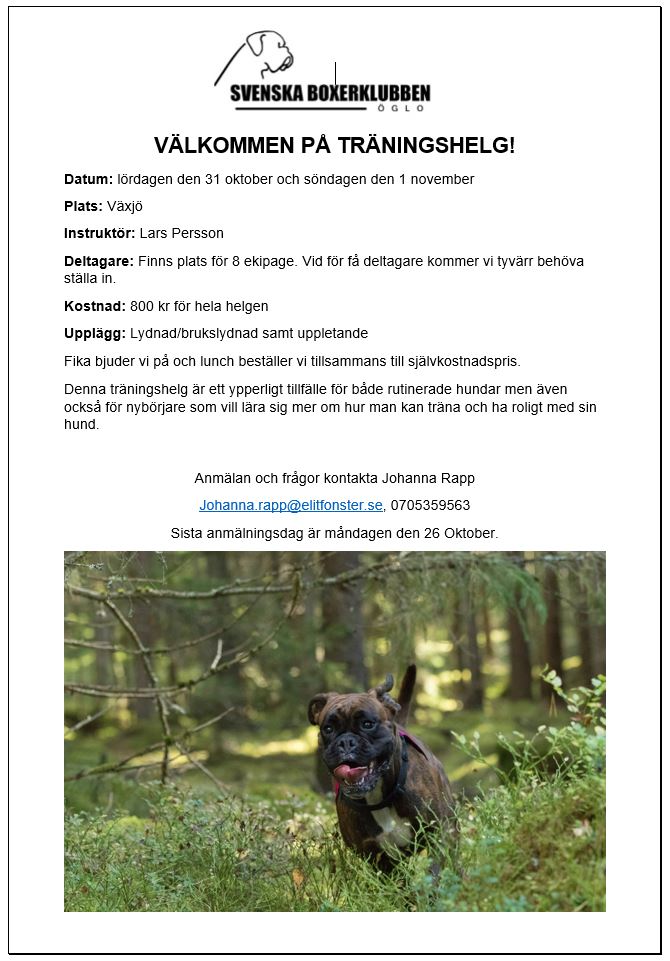 ogloBildTraningshelg2020