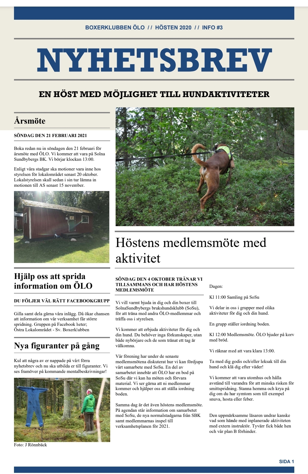 oloNyhetsbrevSept2020x