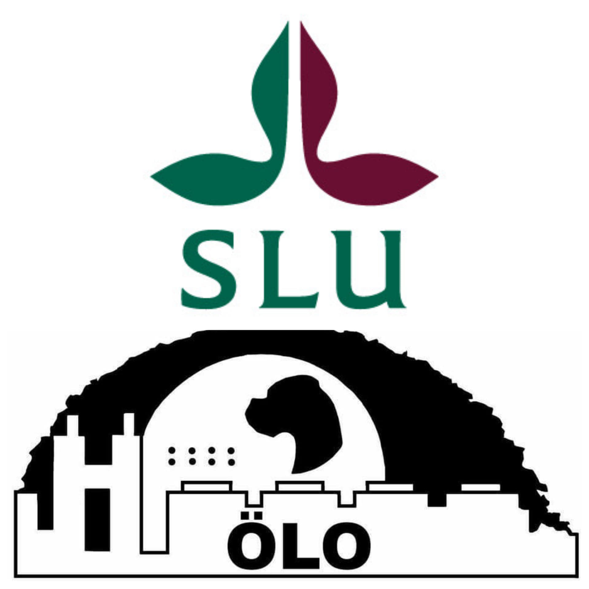arsmoteOlo2021Slu