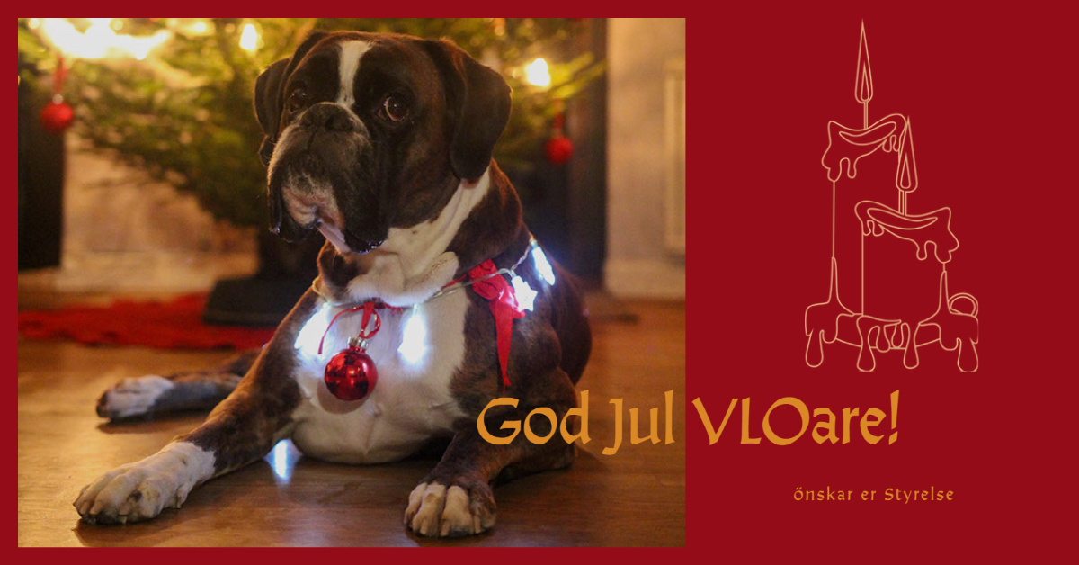 vloJulhalsning2020