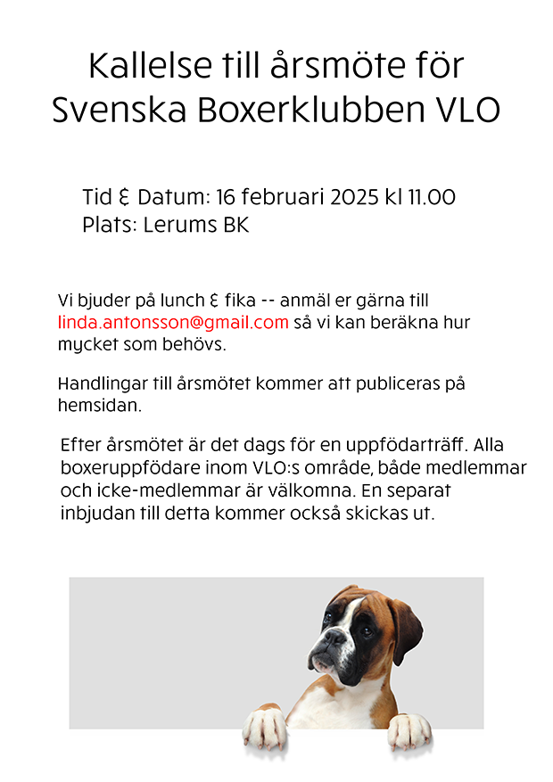 arsmote2025Vlo