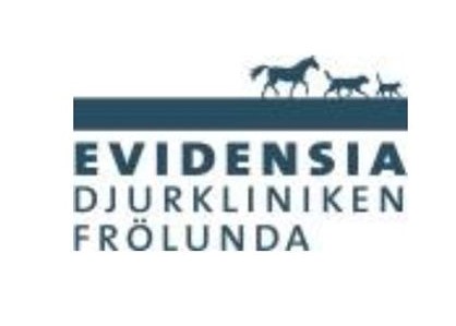 loggaEvidensiaFrolunda