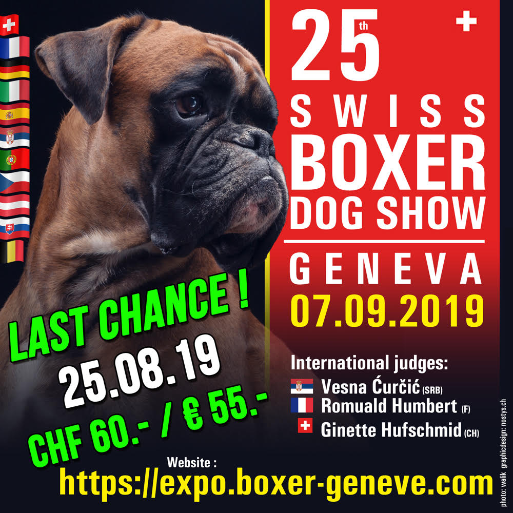 utstallningSwiss250819