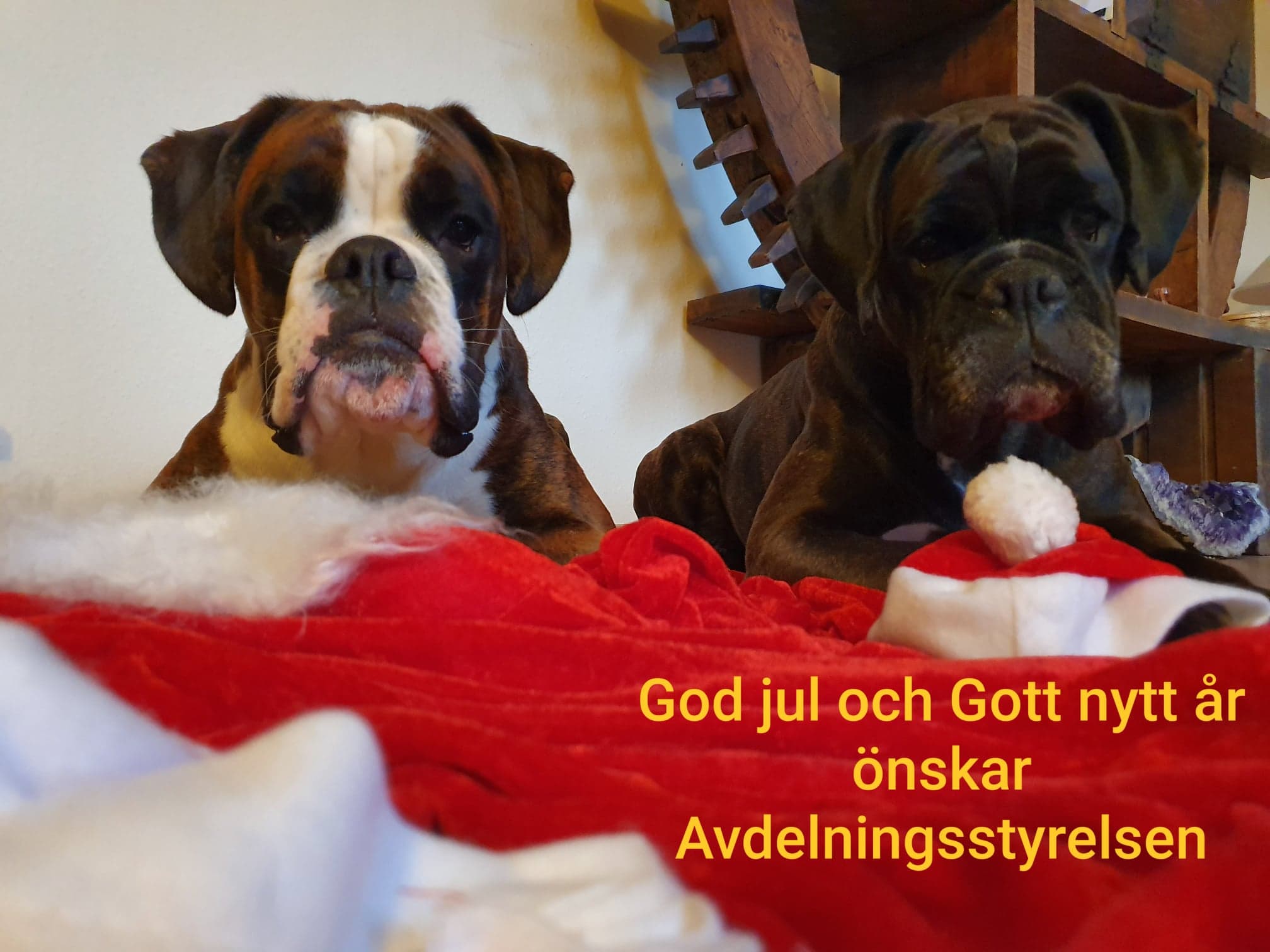 julhalsningAS2019