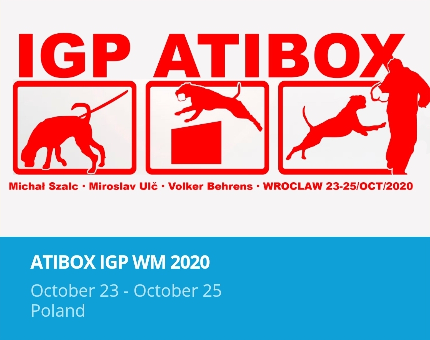 atiboxWmPolen2020