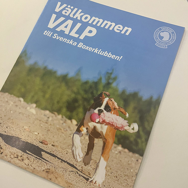 valpfolder1