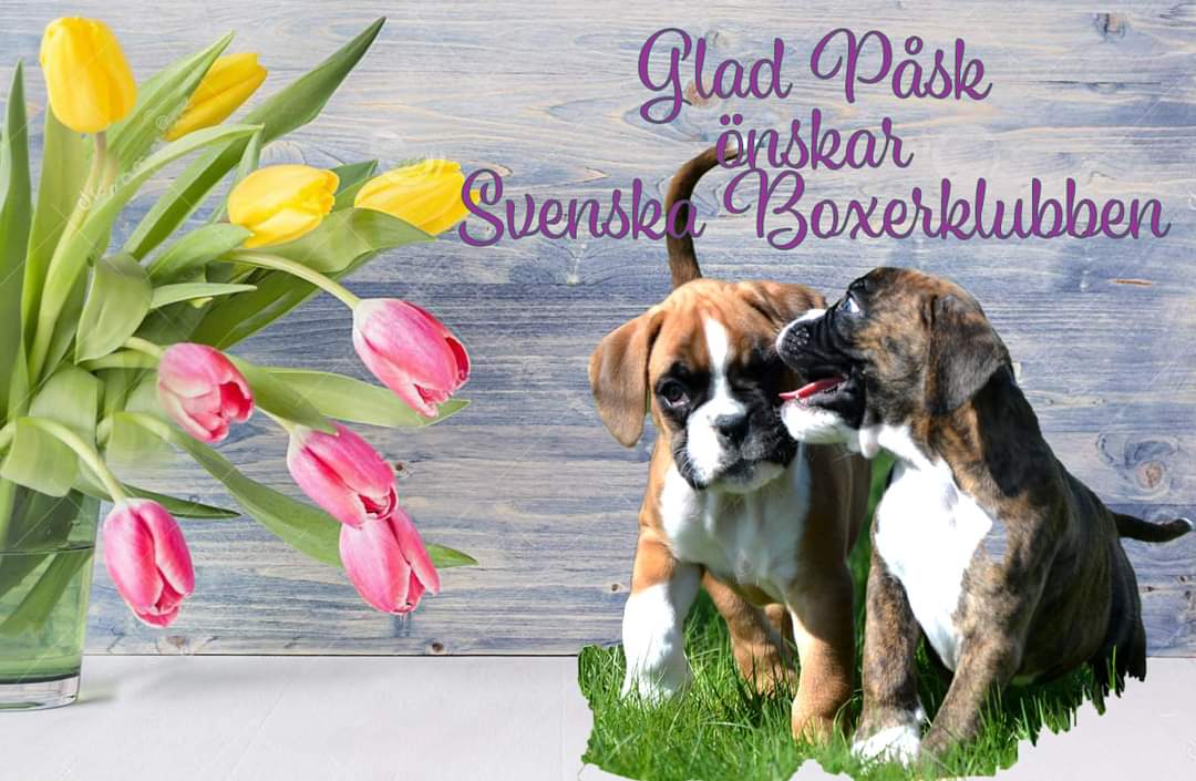 paskhalsning2022
