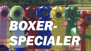 puffBoxerspecial.png