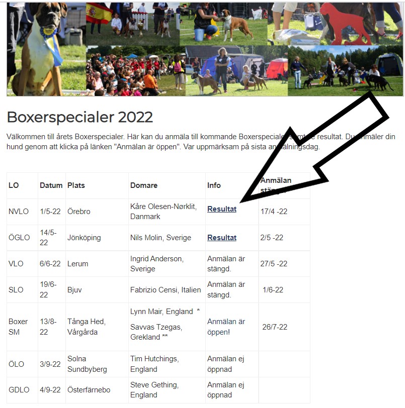 resultatBild.jpg