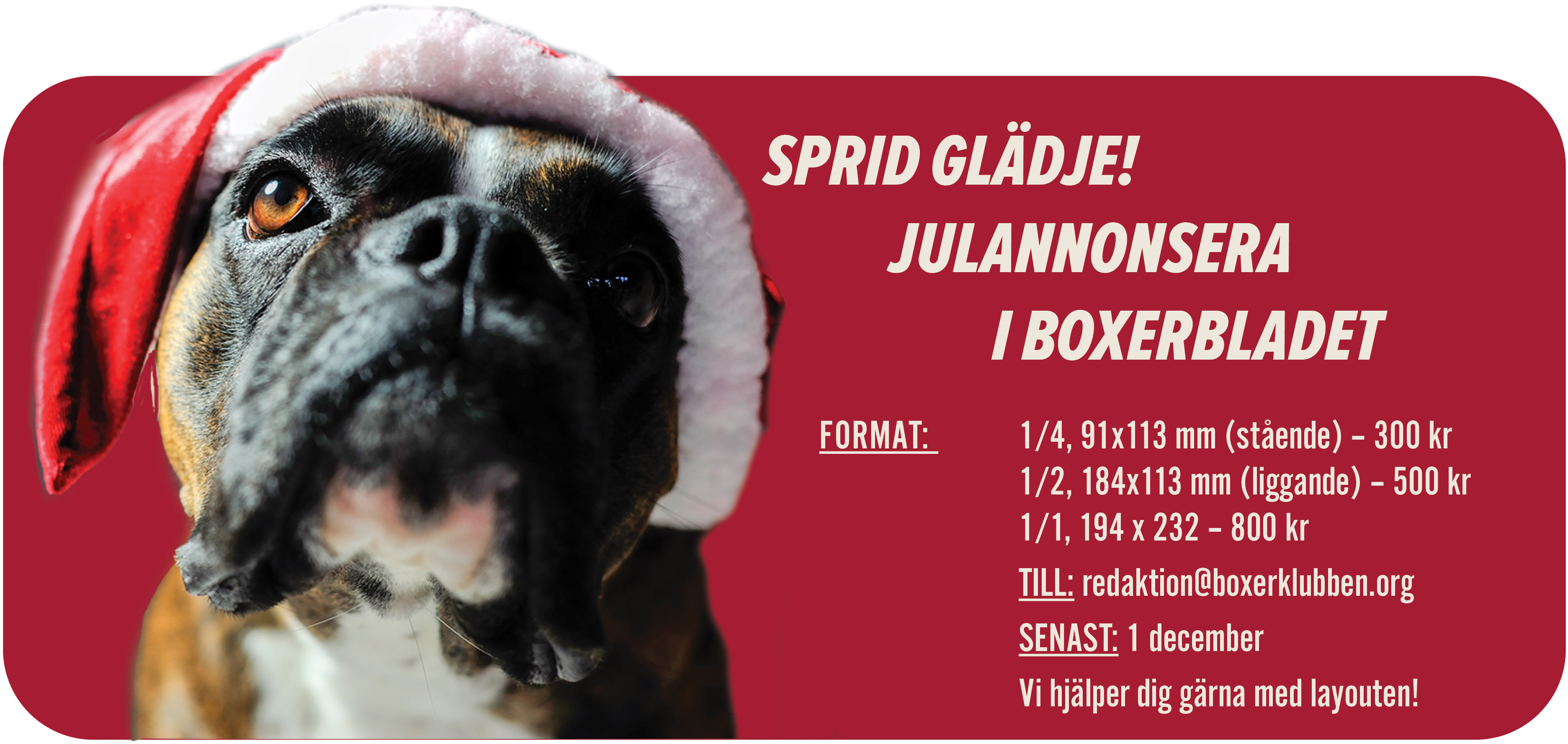 julannonsera2025