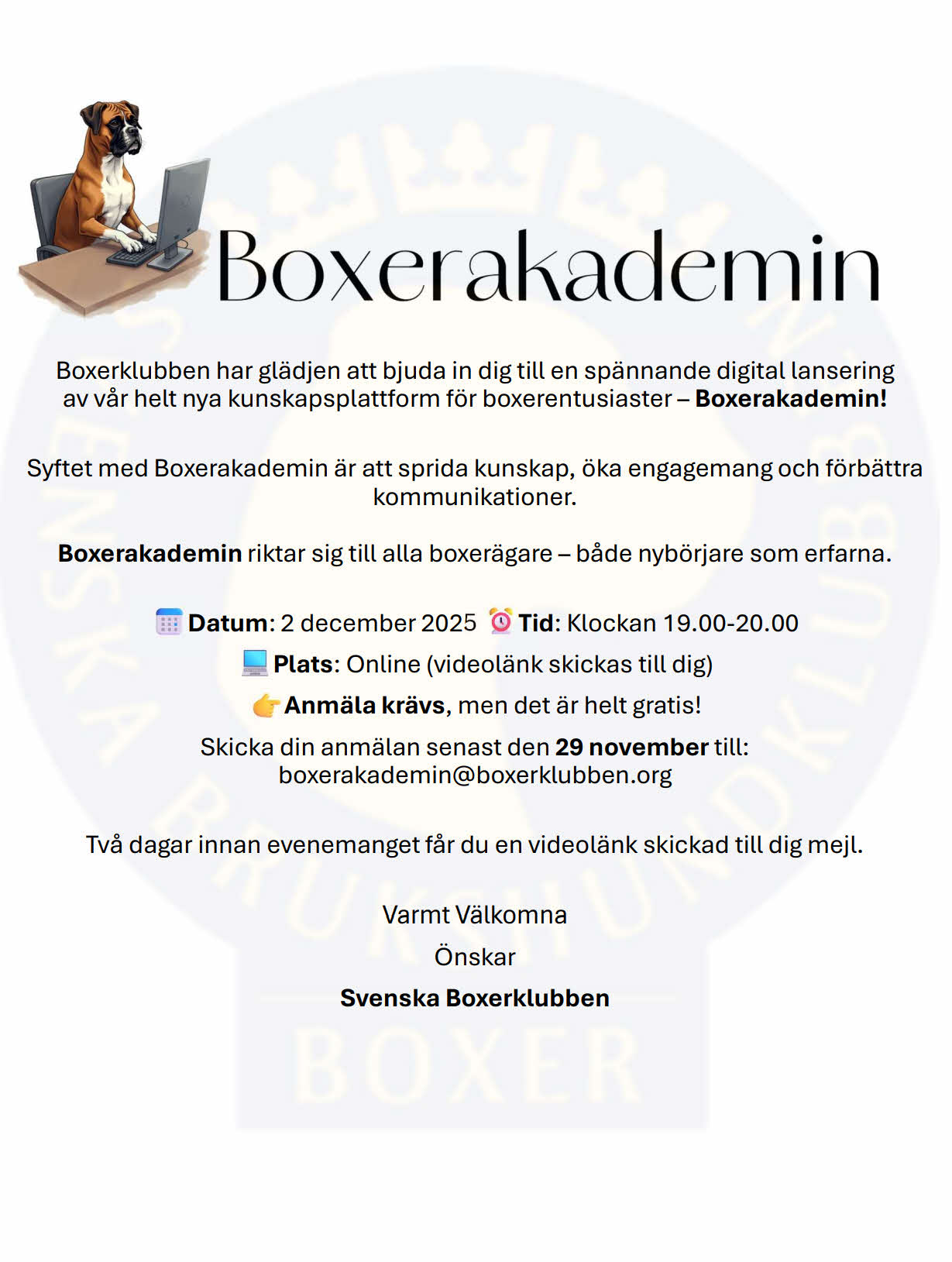 boxerakademinLansering