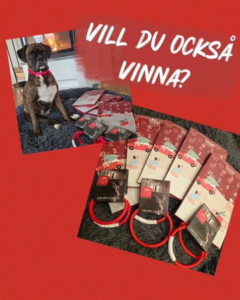 Är du en vinnare