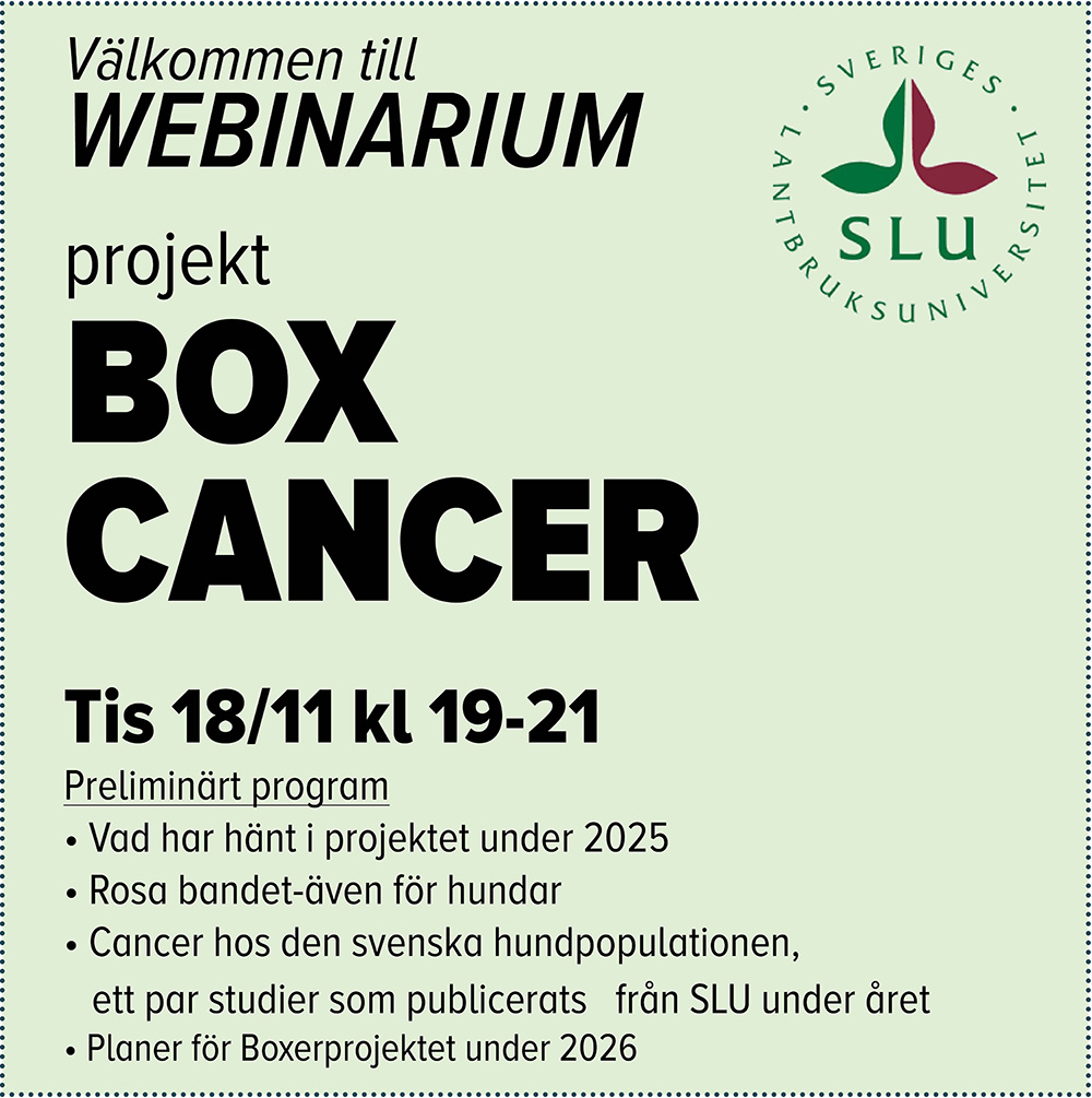 webinarium