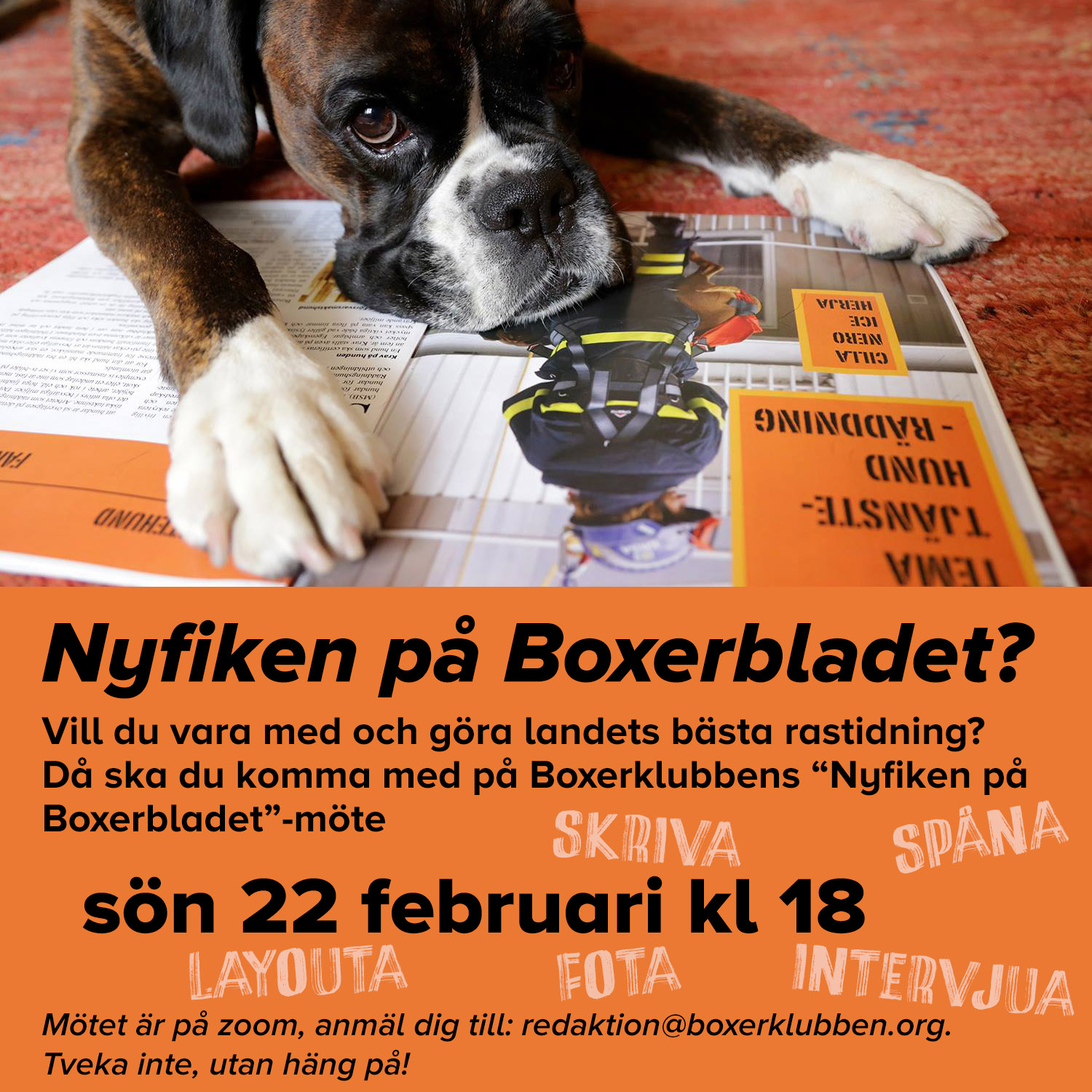 nyfikenPaBoxerbladet