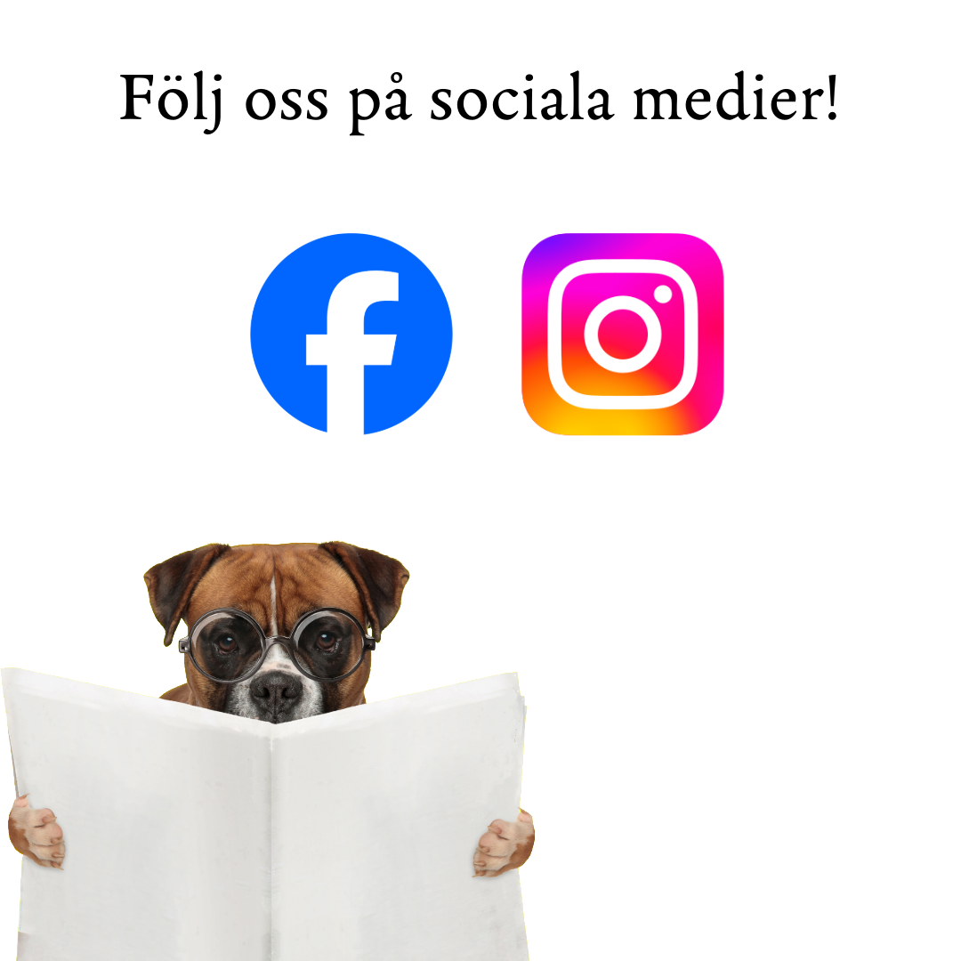 socialaMedier