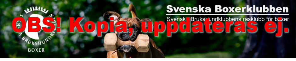Svenska Boxerklubben