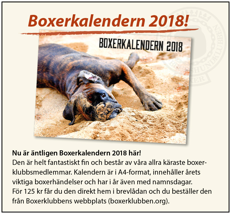 Boxerkalendern2018 webpuff